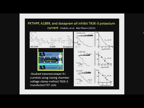 Developing Drugs to Treat Respiratory Depression - Translational Studies