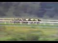 Brigadier gerard?KingGeorgeVI & QueenElizabethDiamondStakes Brigadier gerard?KingGeorgeVI & QueenElizabethDiamondStakes