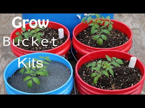 How to start a garden in a 5 gallon bucket