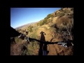 Hummingbird + Animal = Fun - W/ Omar, Noel, Jovy, Hayley & Joe