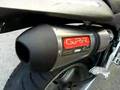Hornet 600 - GPR