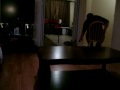 rodney.MOV