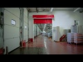 Click here to watch this video Autorreparable.mov