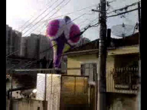 resgate de balao sp zona norte