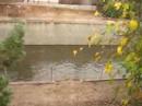 Trash in the LA River