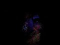 P.P.E(projet pygmee etabe)night dance mbuti pygmies music