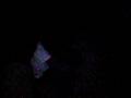 P.P.E(projet pygmee etabe)night dance mbuti pygmies music