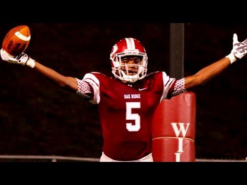 Nation's No. 1 WR Tee Higgins Unveils Top Schools