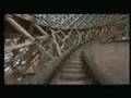 Son Of Beast POV