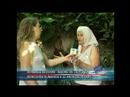 NOTA A HERMNIA SEVERINI