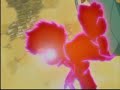 FLCL -.::Dance, Kanti, Dance!::.- An AMV