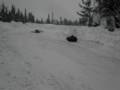 videos de Sledding
