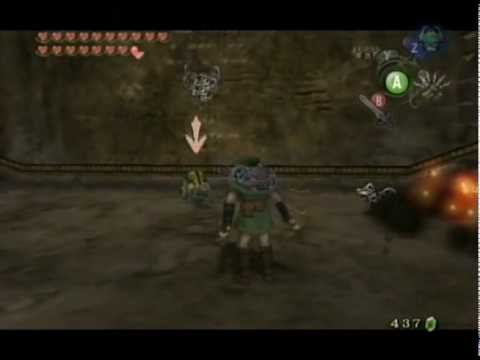 The Legend of Zelda : Twilight Princess