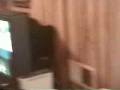 videos de The Studio