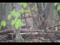 RealOutdoors TV Turkey Hunting: Rainy Opening Day