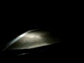 night trip in jungle