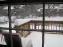 Batch of moderate snow falling (out my kitchen window)