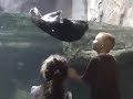 Hanah & Brenen & Otter at the Audubon Aquarium