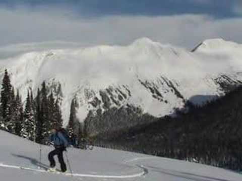 Bonnie and Abby - Two powder hounds at p