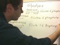 Glycolysis Glycolysis