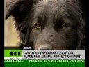 Cat killer sentenced