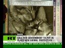 Cat killer sentenced