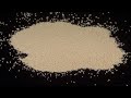 Video de Cocina - Pan blanco de trigo
