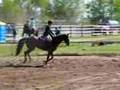 3'3 Junior/Am, Meadowlarke 2008