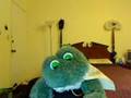 Frogs Are Cute