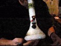 puffpuff ~ pass