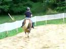 Karina on a halflinger
