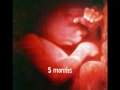 The Reality of Abortion.wmv