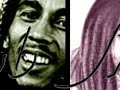 slightly-stoopid-bob-marley-tribute.html