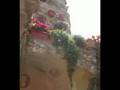 bussana vecchia