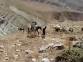 ERZINCAN KEMAH KÜPLÜ KÖYÜ KOM?K ERZINCAN KEMAH KÜPLÜ KÖYÜ KOM?K