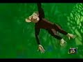hi 5 animales