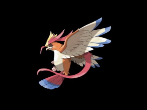 how to increase sp attack pokemon