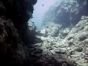 Exploring a reef crevasse off Zamami\