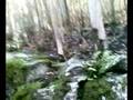 videos de david y zuñiga por los montes de redondela