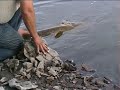 Sandy Gets The Big One Sandy Gets The Big One