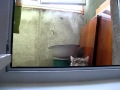 Spy cat is watching you