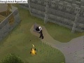 videos de runescape - tom's best guide