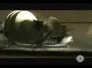 Face Down