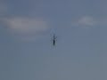 Trex600 First 3D flight Trex600 First 3D flight