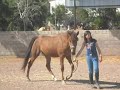 Click here to watch this video -.my baby girlie means my life.-