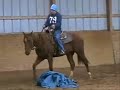 This video covers some basic tips for starting your colt during those first few rides. Here at 3Drum we know that can be the toughest part of your colts training. You will see Nicole Torturo of 3Drum riding a 2yr old filly by the name is Shes Old Money. Basics on teaching your horse to rein and keep forward motion.
