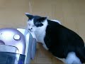 [ネコ]掃除機をマッサージ器のように受け入れる猫。のサムネイル3