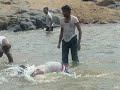 Shobhit @ Hogenakkal Falls after completing Engg. @ NHCE