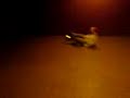 Rio Rheinberg Jackass Biken