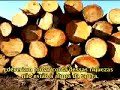 Amazonia é do Brasil !!!! Amazonia é do Brasil !!!!